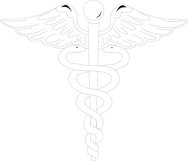 Medical Caduceus Symbol